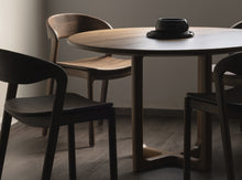 Load image into Gallery viewer, Mesa AP02/